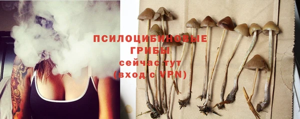 марихуана Медногорск