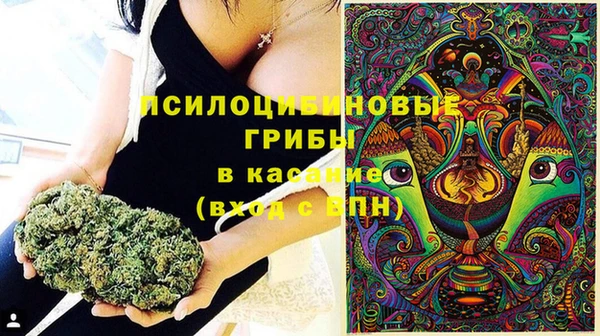 apvp Медвежьегорск