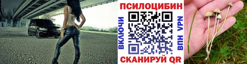 где найти   omg зеркало  Галлюциногенные грибы GOLDEN TEACHER  Заозёрный 
